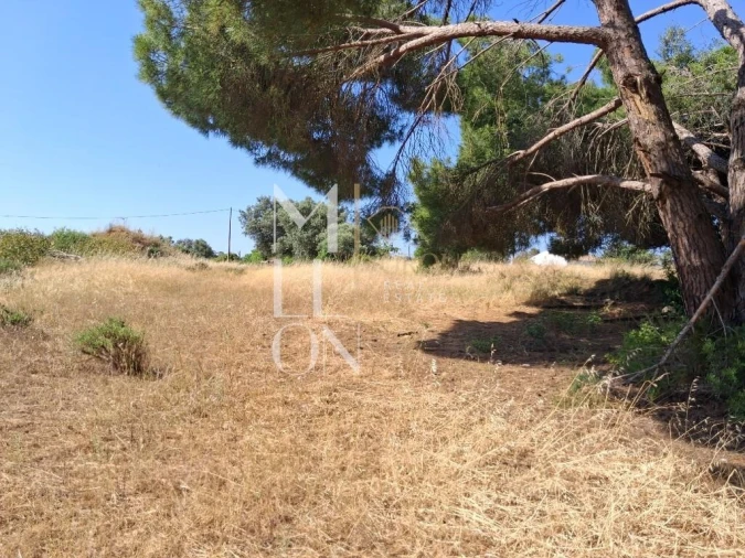Terreno para Venda em Lagoa e Carvoeiro Foto 27