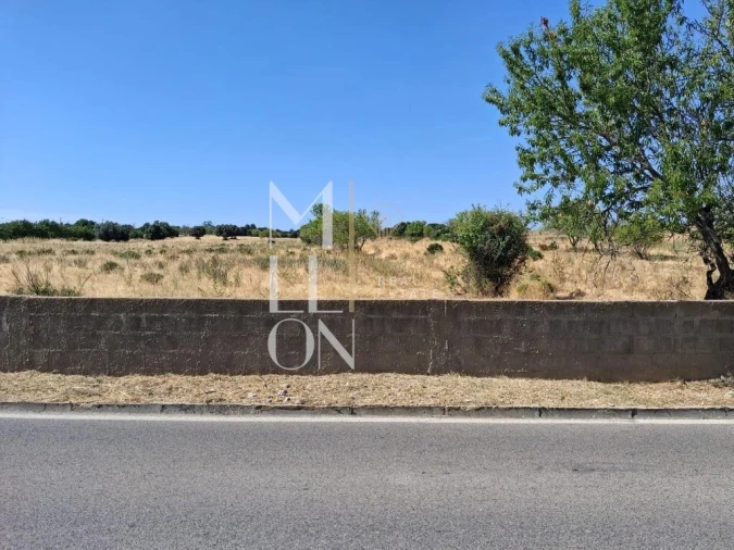 Terreno para Venda em Lagoa e Carvoeiro Foto 18