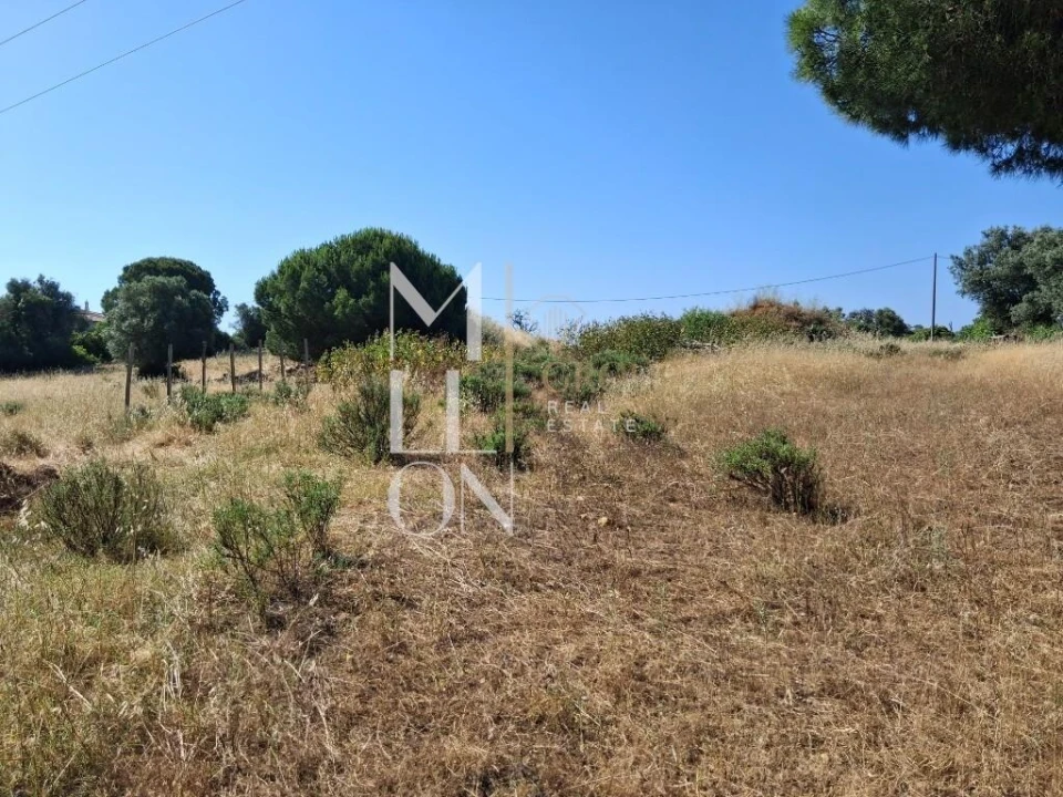 Terreno para Venda em Lagoa e Carvoeiro Foto 28