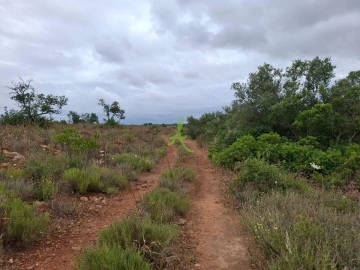 Terreno para Venda em Estômbar e Parchal