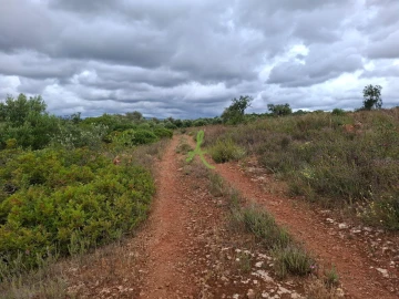 Terreno para Venda em Estômbar e Parchal