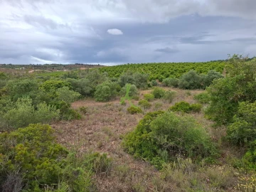 Terreno para Venda em Estômbar e Parchal