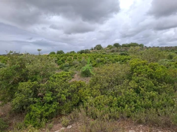 Terreno para Venda em Estômbar e Parchal