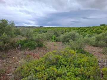 Terreno para Venda em Estômbar e Parchal