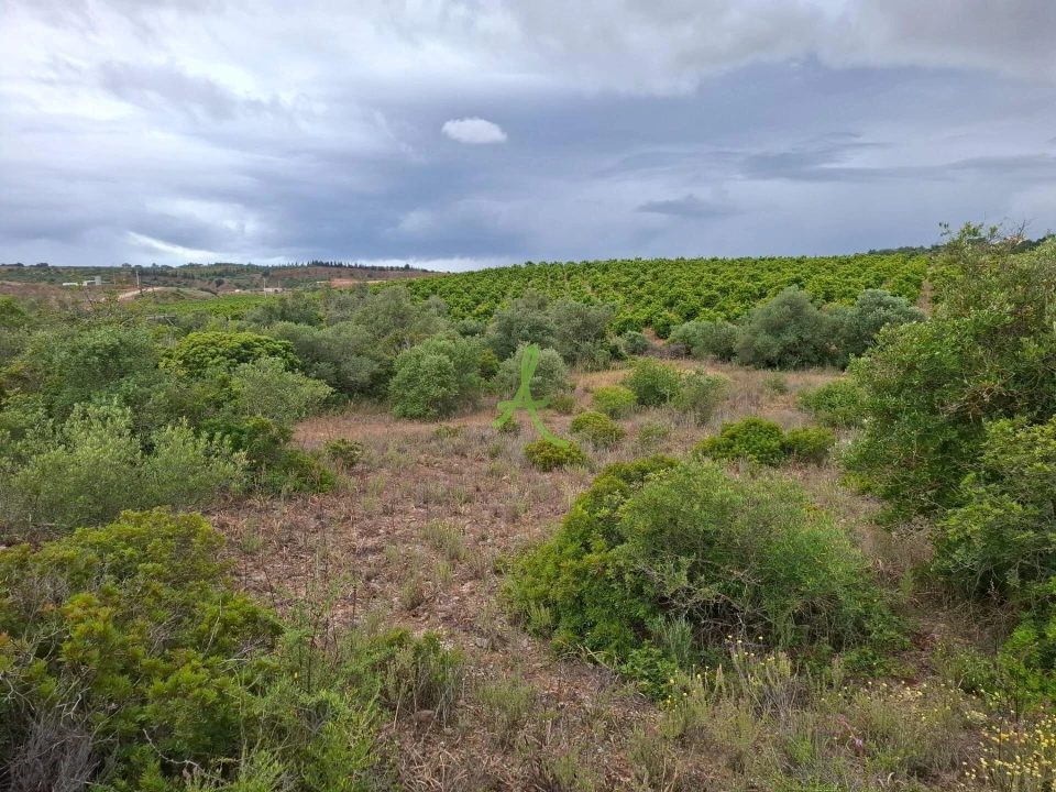 Terreno para Venda em Estômbar e Parchal Foto 1