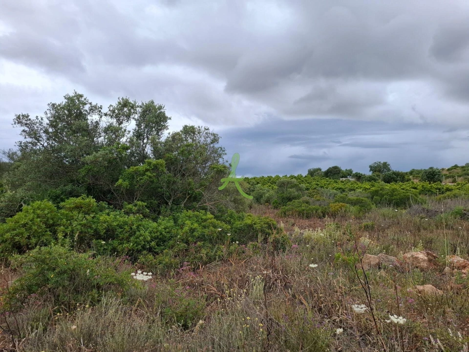 Terreno para Venda em Estômbar e Parchal Foto 7