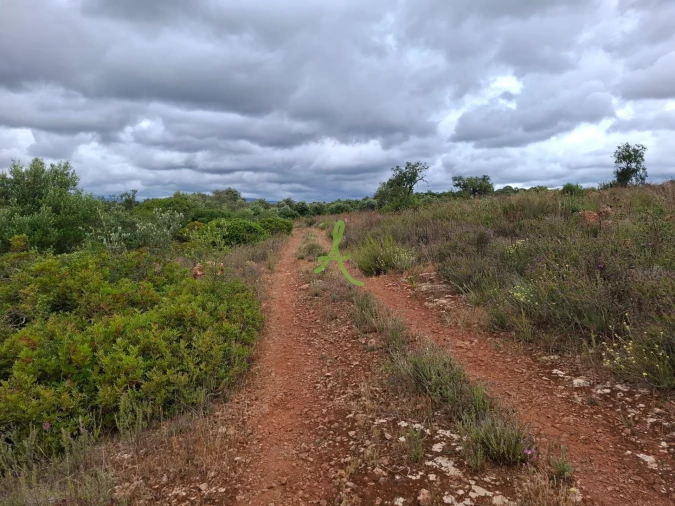 Terreno para Venda em Estômbar e Parchal Foto 12