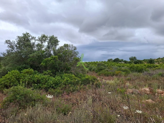 Terreno para Venda em Estômbar e Parchal Foto 7