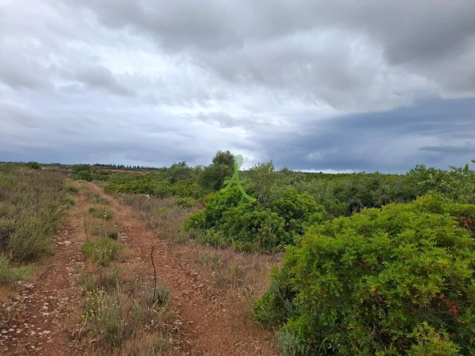 Terreno para Venda em Estômbar e Parchal Foto 15