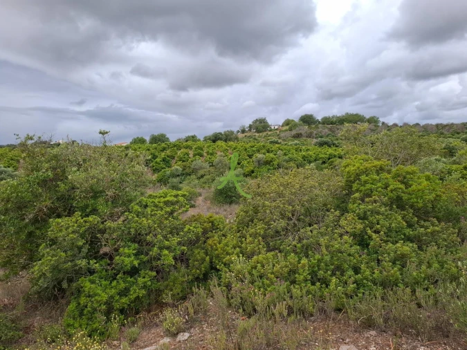 Terreno para Venda em Estômbar e Parchal Foto 11