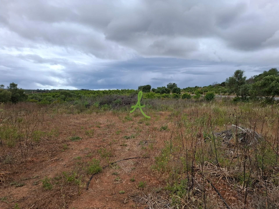 Terreno para Venda em Estômbar e Parchal Foto 13