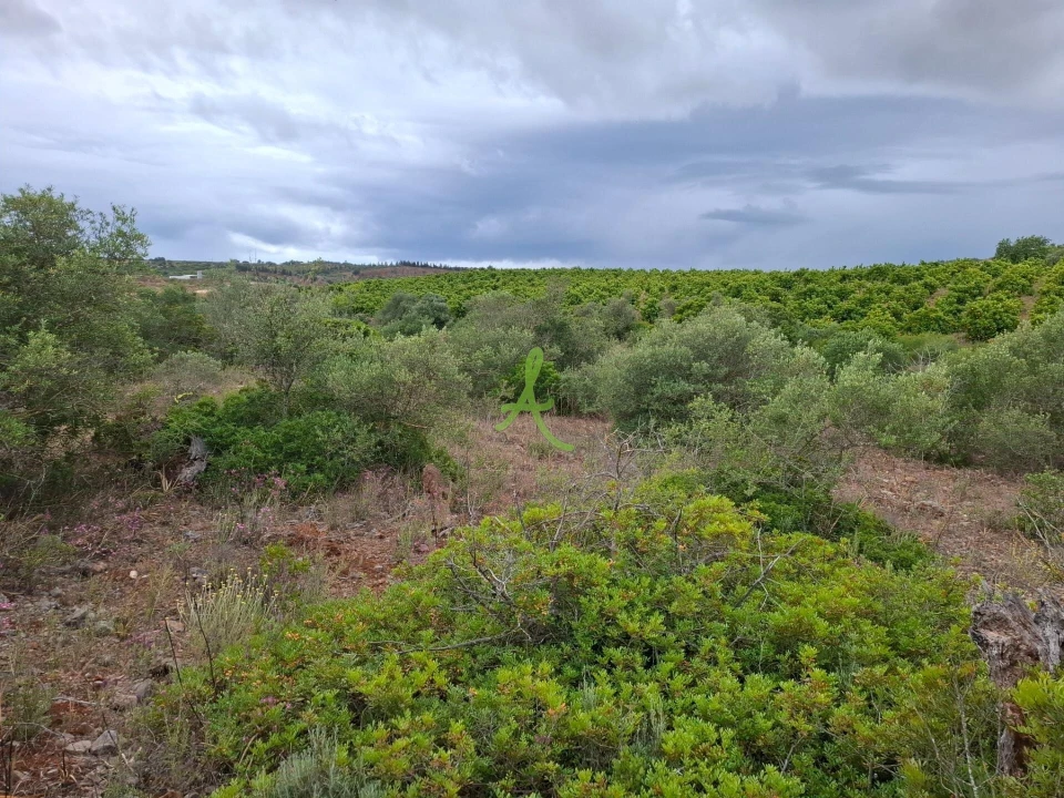 Terreno para Venda em Estômbar e Parchal Foto 10