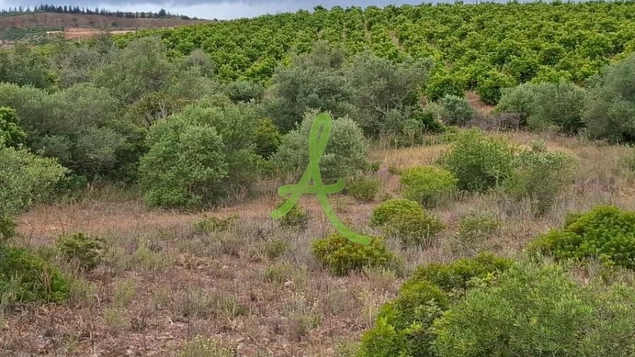 Terreno para Venda em Estômbar e Parchal