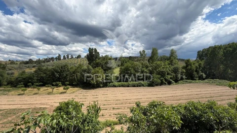 Terreno para Venda em Torre de D. Chama