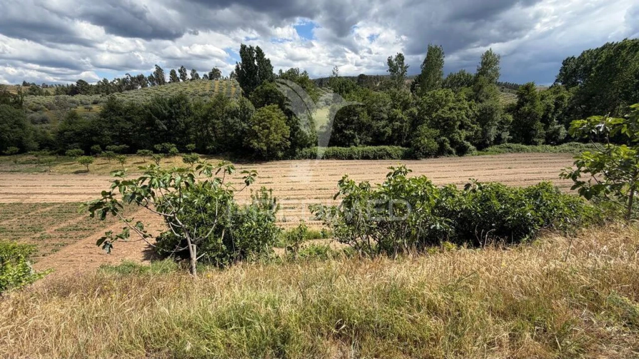 Terreno para Venda em Torre de D. Chama Foto 2