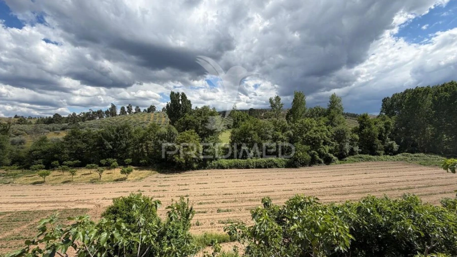 Terreno para Venda em Torre de D. Chama
