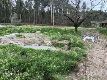 Terreno para Venda em São Joaninho