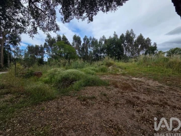Terreno para Venda em São Joaninho