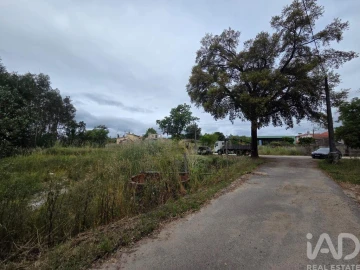 Terreno para Venda em São Joaninho