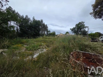 Terreno para Venda em São Joaninho