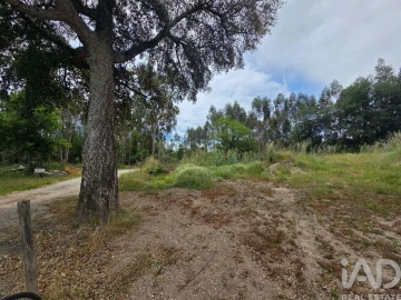Terreno para Venda em São Joaninho