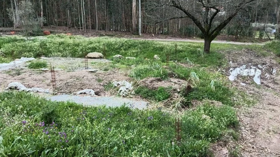 Terreno para Venda em São Joaninho