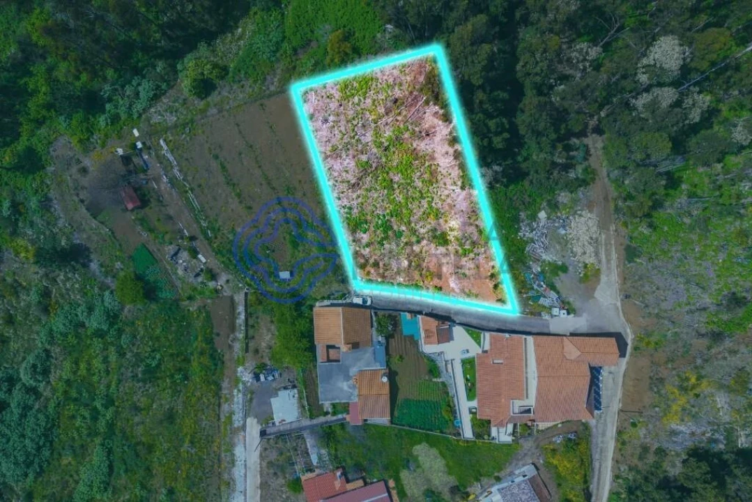 Terreno para Venda em Santa Cruz Foto 2
