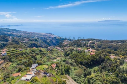 Terreno para Venda em Santa Cruz