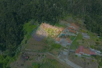 Terreno para Venda em Santa Cruz