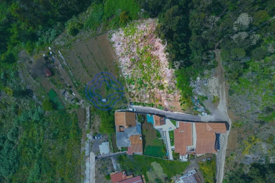 Terreno para Venda em Santa Cruz Foto 3