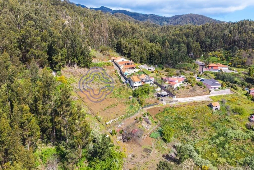 Terreno para Venda em Santa Cruz Foto 7