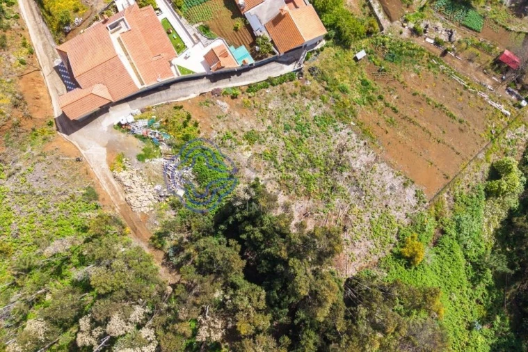 Terreno para Venda em Santa Cruz Foto 13
