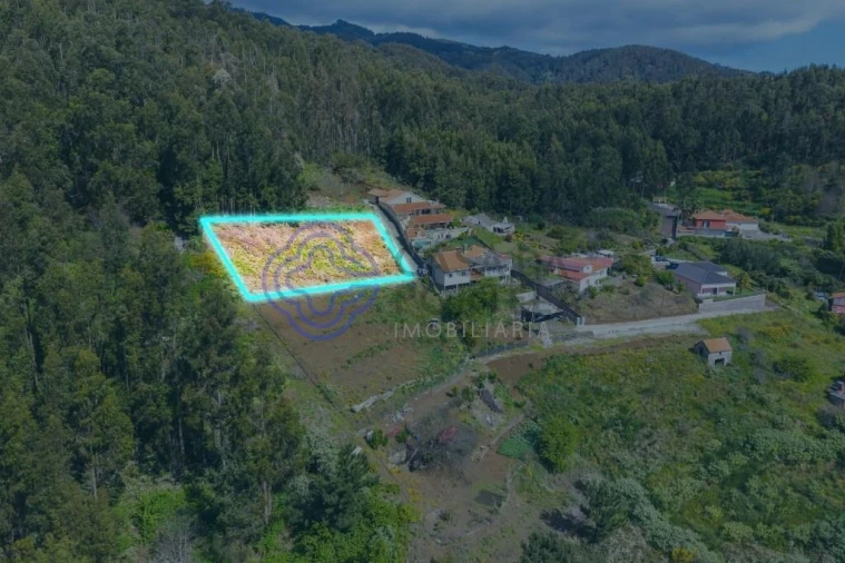 Terreno para Venda em Santa Cruz Foto 8