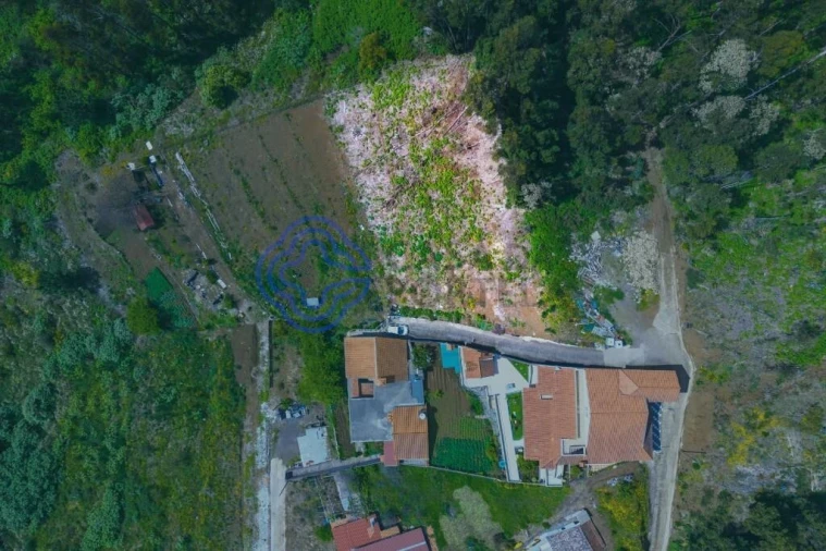 Terreno para Venda em Santa Cruz Foto 3