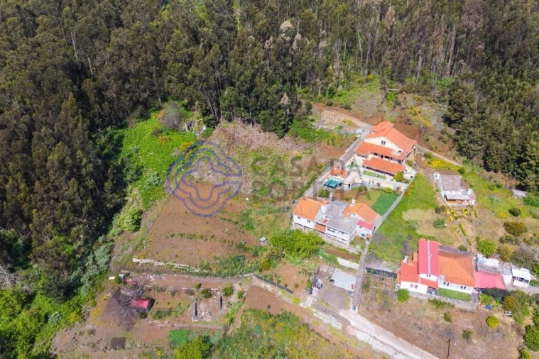 Terreno para Venda em Santa Cruz Foto 10