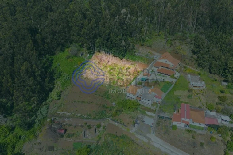 Terreno para Venda em Santa Cruz Foto 11