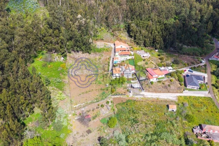 Terreno para Venda em Santa Cruz Foto 4
