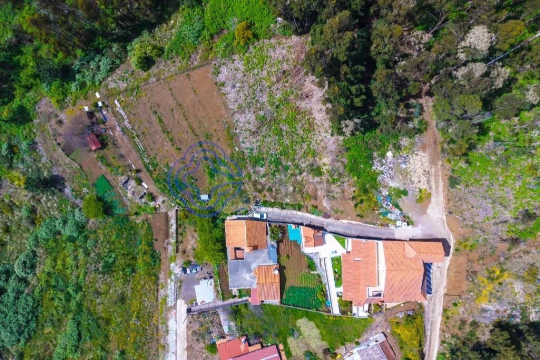 Terreno para Venda em Santa Cruz Foto 1