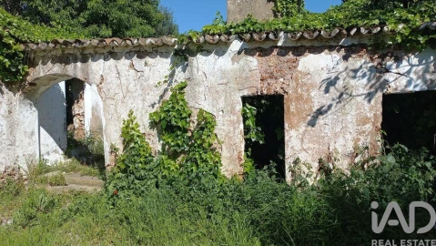 Loja para Venda em Salir