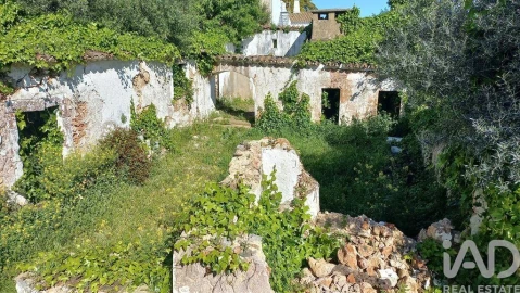 Loja para Venda em Salir