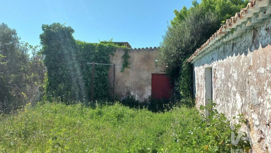 Loja para Venda em Salir Foto 2