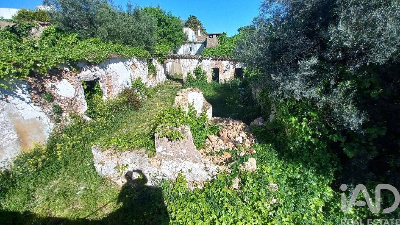 Loja para Venda em Salir Foto 15