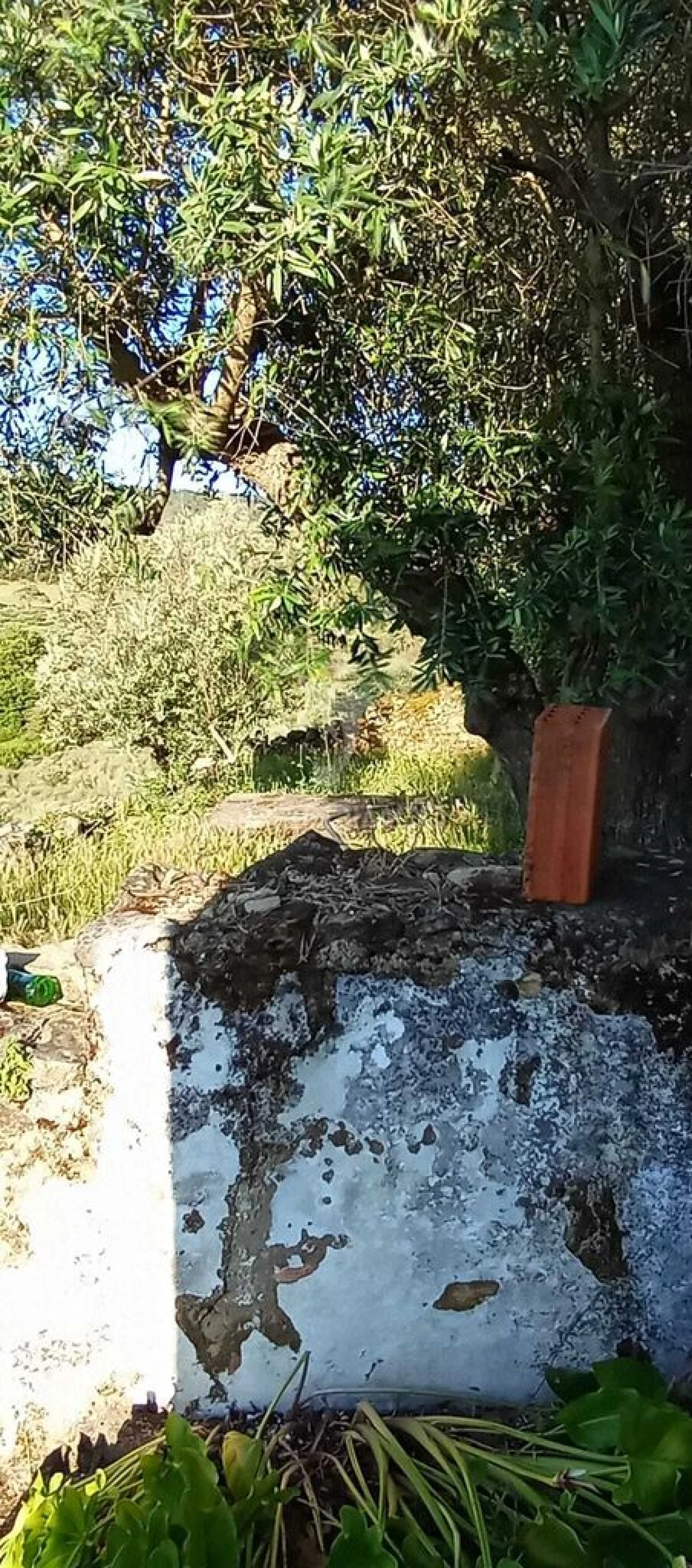 Moradia T2 para Venda em Urra Foto 12