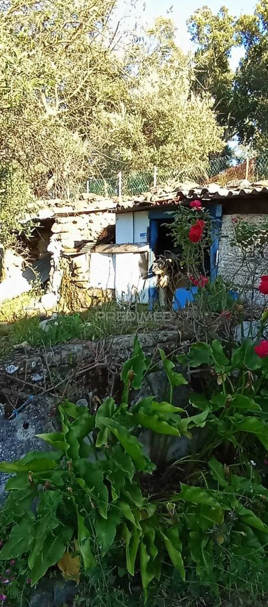 Moradia T2 para Venda em Urra Foto 11
