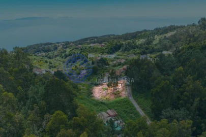 Terreno para Venda em Santa Cruz