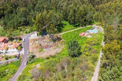 Terreno para Venda em Santa Cruz