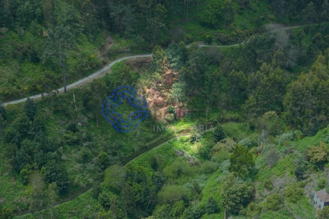 Terreno para Venda em Santa Cruz Foto 13