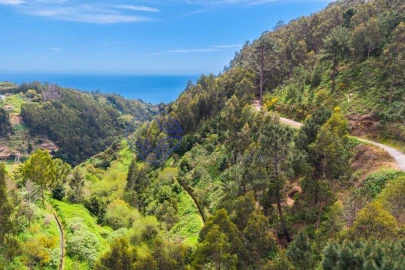 Terreno para Venda em Santa Cruz