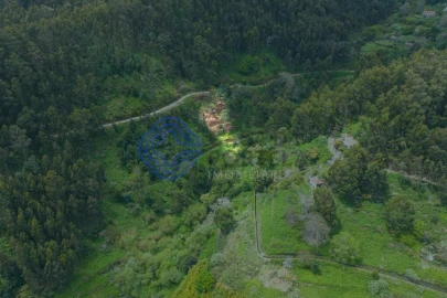 Terreno para Venda em Santa Cruz