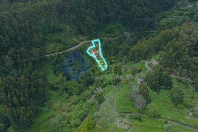 Terreno para Venda em Santa Cruz